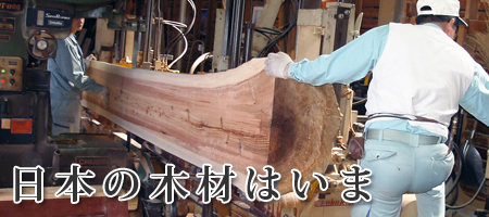 日本の木材はいま